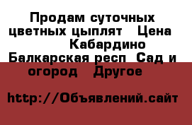 Продам суточных цветных цыплят › Цена ­ 50 - Кабардино-Балкарская респ. Сад и огород » Другое   